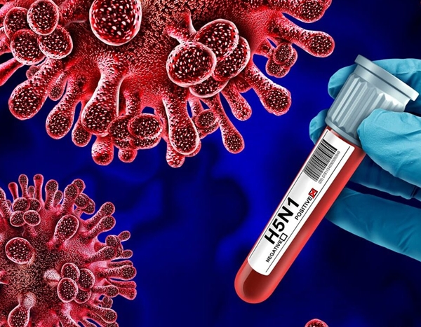 Sydney Reports First H5N1 Bird Flu Case
