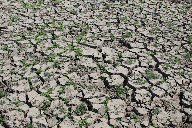 Dry Weather and Looming El Niño Raise Food Supply Concerns Across Asia