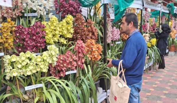 Indian Orchid Festival 2026 Concludes in Sikkim
