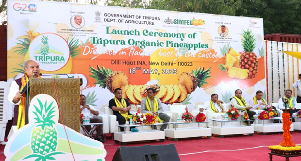 Union Minister launches Tripura’s queen pineapple in Dilli Haat