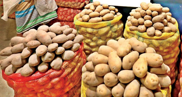 Bangladesh to import 34,000 tonnes of potatoes from India to tame price