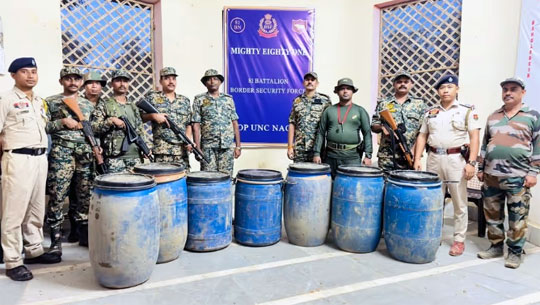 Security Forces Seize 327.7 Kg Cannabis Worth Rs 1.63 Crore in Sepahijala