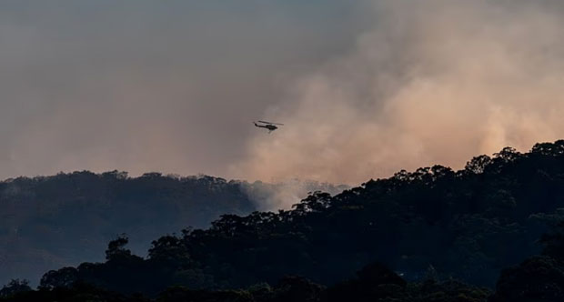 Bushfire Destroys Over 30 Homes in Dolphin Sands, Tasmania