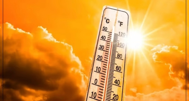 Europe scorched by record heatwave: health alerts, wildfires & 46°C in Spain